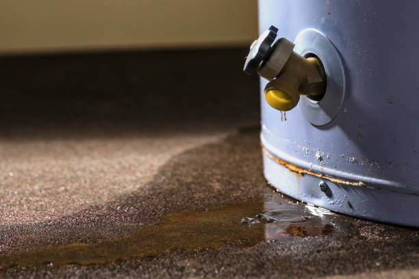 Best Commercial water damage restoration  in Woodville, AL