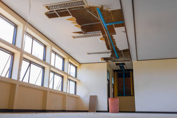Best Water damage contractors near me  in Woodville, AL