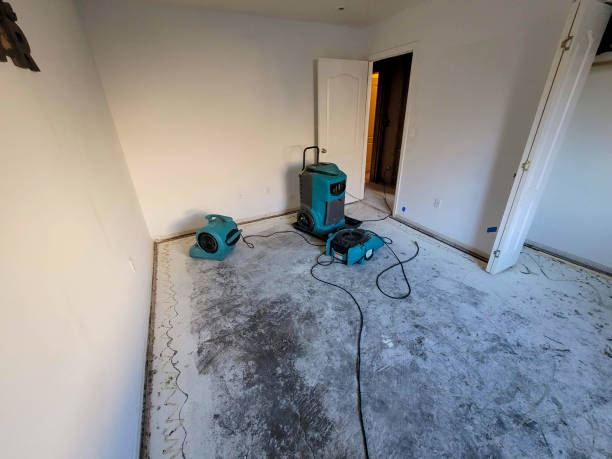 Best Residential water damage restoration  in Woodville, AL