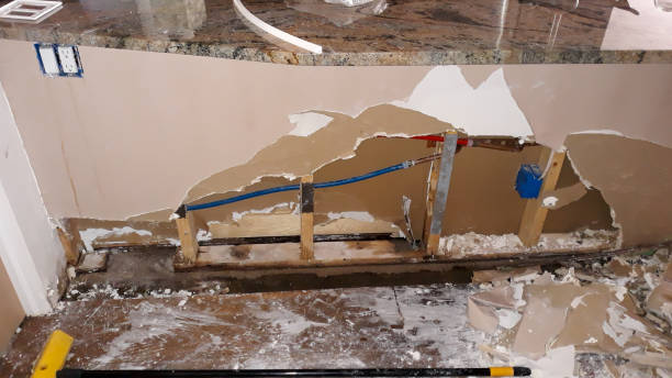 Best 24-hour water damage restoration  in Woodville, AL