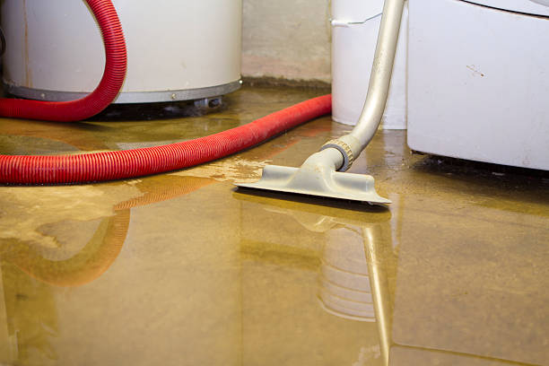 Best Water damage cleanup near me  in Woodville, AL