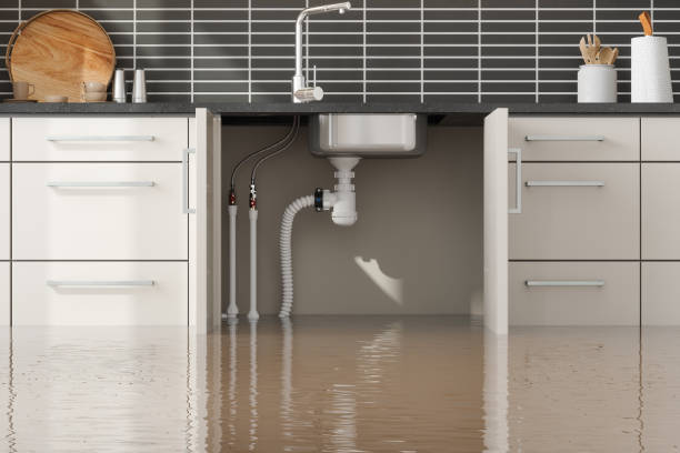 Best Sewage cleanup and water damage restoration  in Woodville, AL