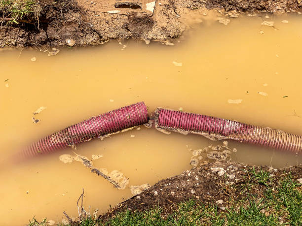 Best Water damage restoration near me  in Woodville, AL